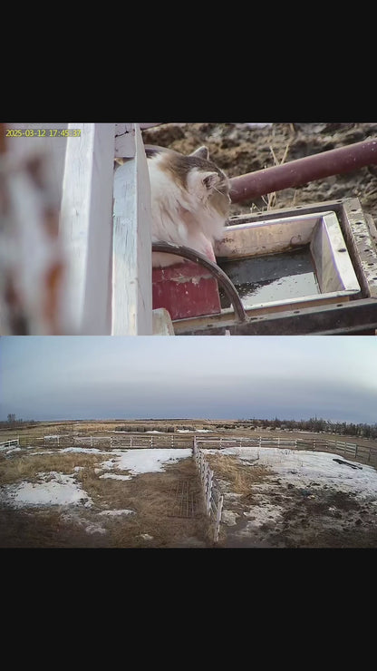 36x PTZ Wifi/Cellular Dual Lens Camera with 10Watt Solar Panel